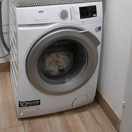 Apartment White Rose